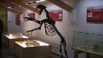 orce_museo