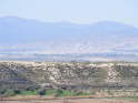 Baza in the morning