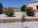 The Garden in Bloom