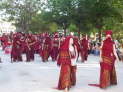 Pakkos dolly birds