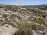 View West towards the Olive Factory